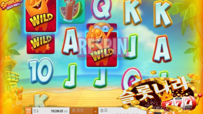 스피니언즈 슬롯머신 플로우(FG)