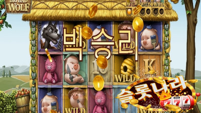 빅배드울프 슬롯머신 플로우(FG)