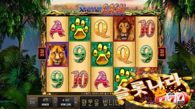 사바나캐시 슬롯머신 마이크로(MG)