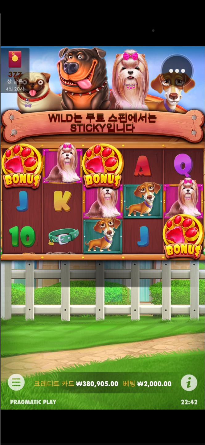 2728312343_1584542315.8873.jpg