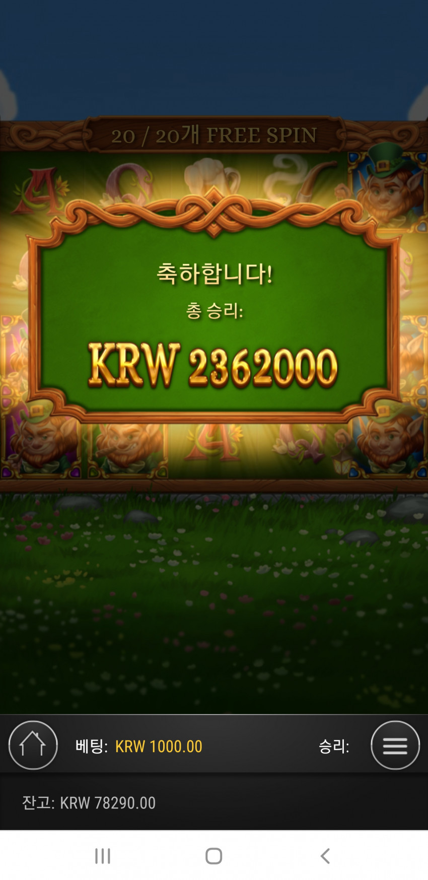 2890209110_1584585096.1119.jpg