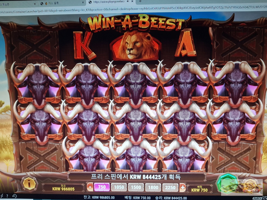 3553058484_xp1YPNBh_cc332564b1e065e09357557787d4fbe361e69089.jpg