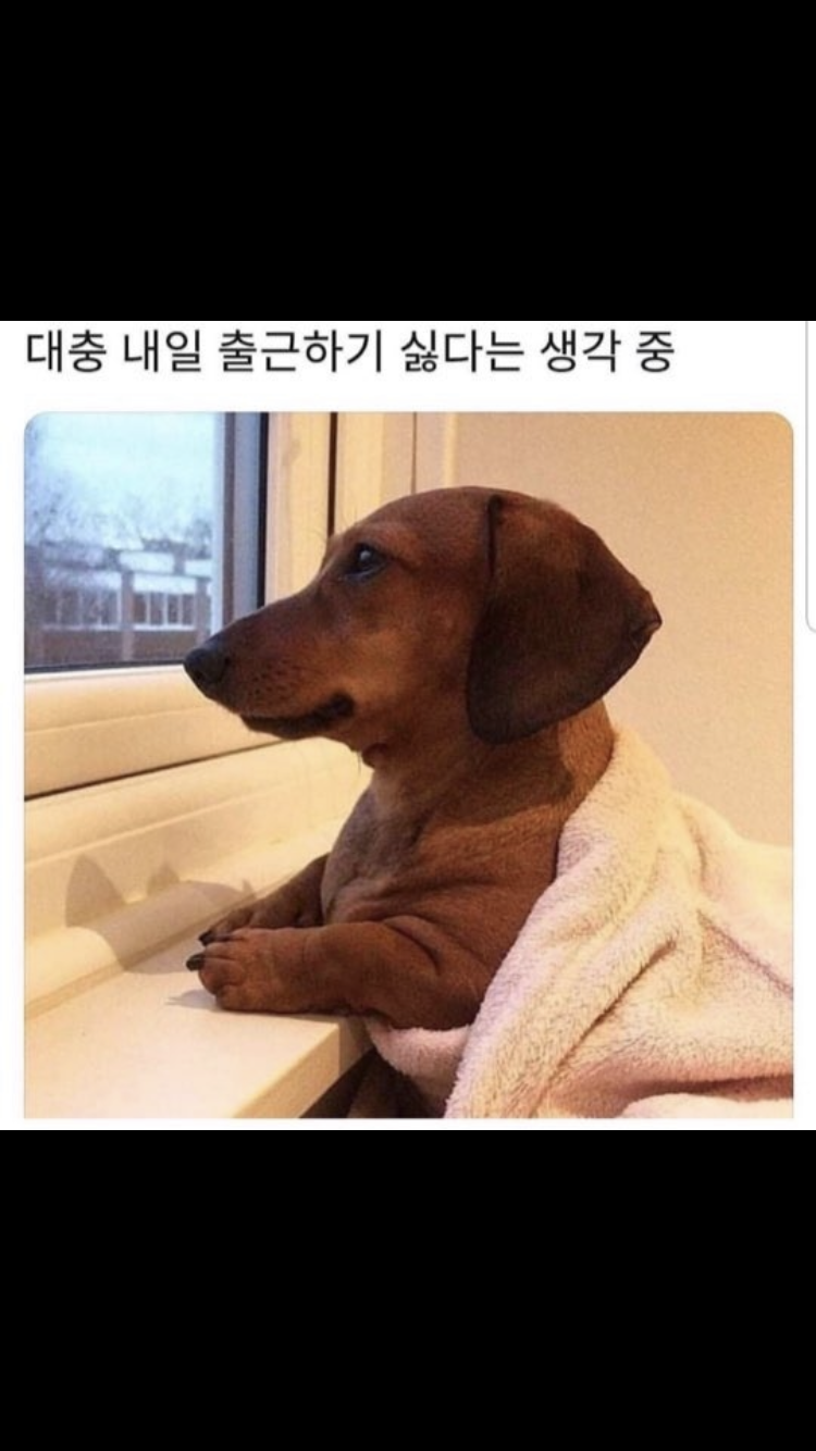 d353ab843bf2b7e6cd572bd6a60991fc_1645940443_4327.png
