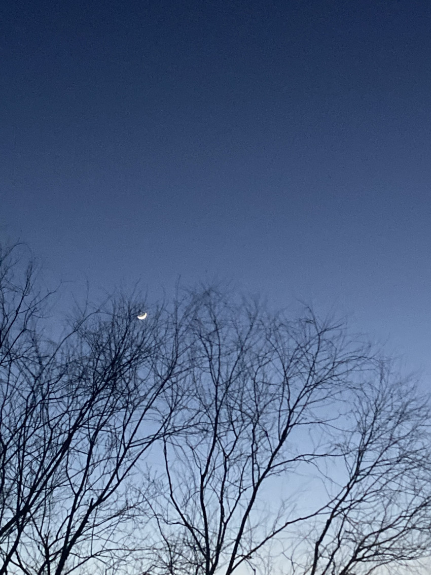 39f7dce2589804037830de838b71c85b_1646474125_1928.jpeg