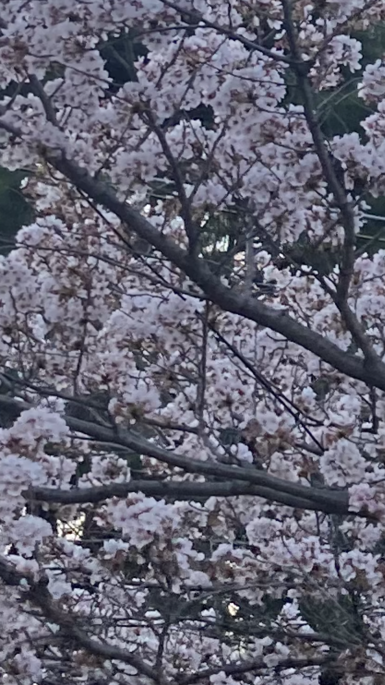 00502ec601354b06e2d5d4b6fa90b133_1649580021_108.png