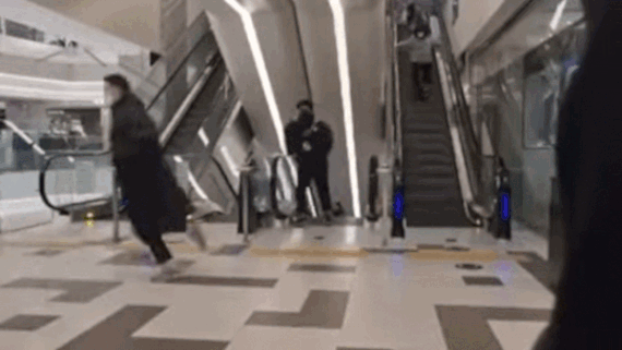 5f300cdb65d66f5a66cec2a50ea4e2b4_1649656257_4681.gif