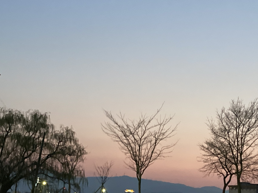 965ac0465645a74a6332a8d8b6fc78f2_1648894404_0421.jpeg