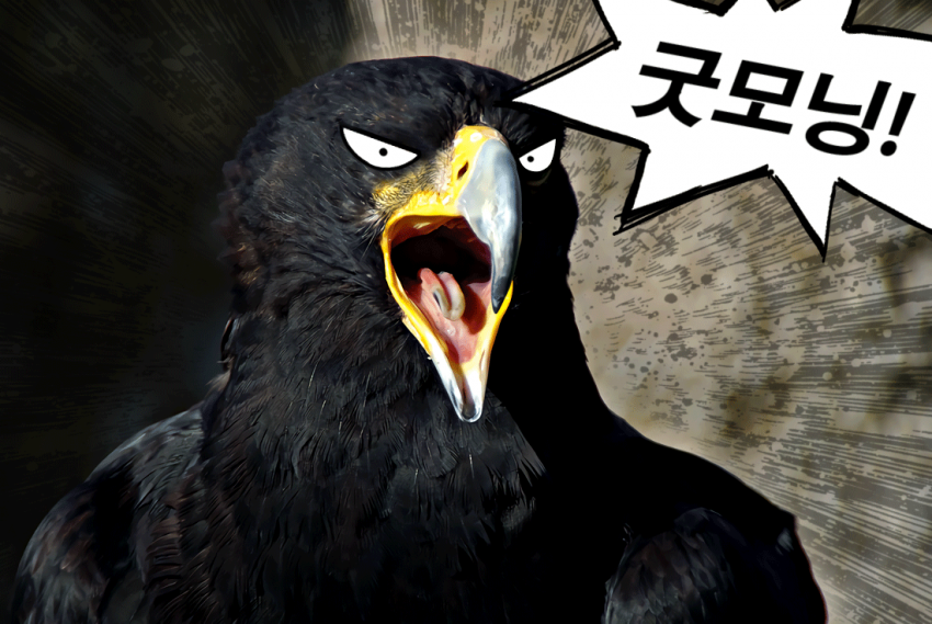 c436f92aa95e16f072d5ee6eb2fab372_1650319980_446.png