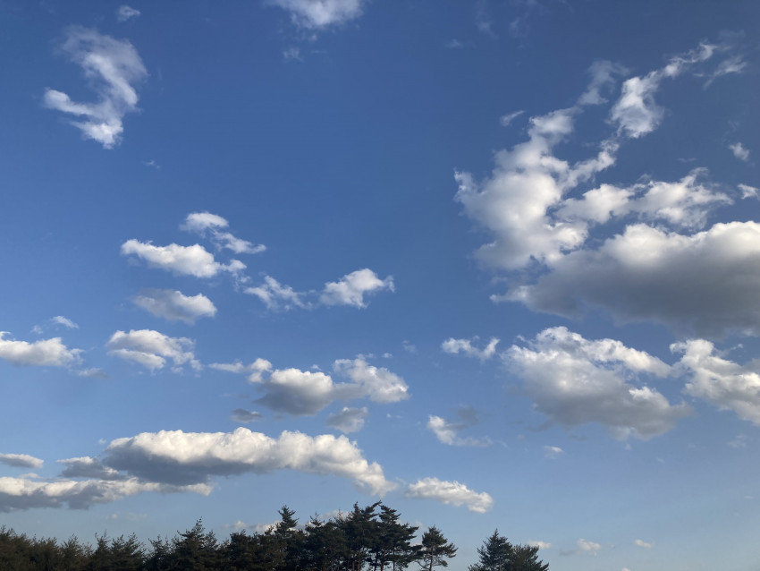 d14bec5cb3942d0ad9d55e729fa75625_1649321631_997.jpeg