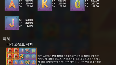 ★ 무조건 터진다!! 한방의 반전!!  / Blaze Of Ra - Push Gaming
