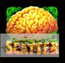 8a01f5bf8a4a1fd1568a4c2cee96b10f_1657769573_9765.jpg