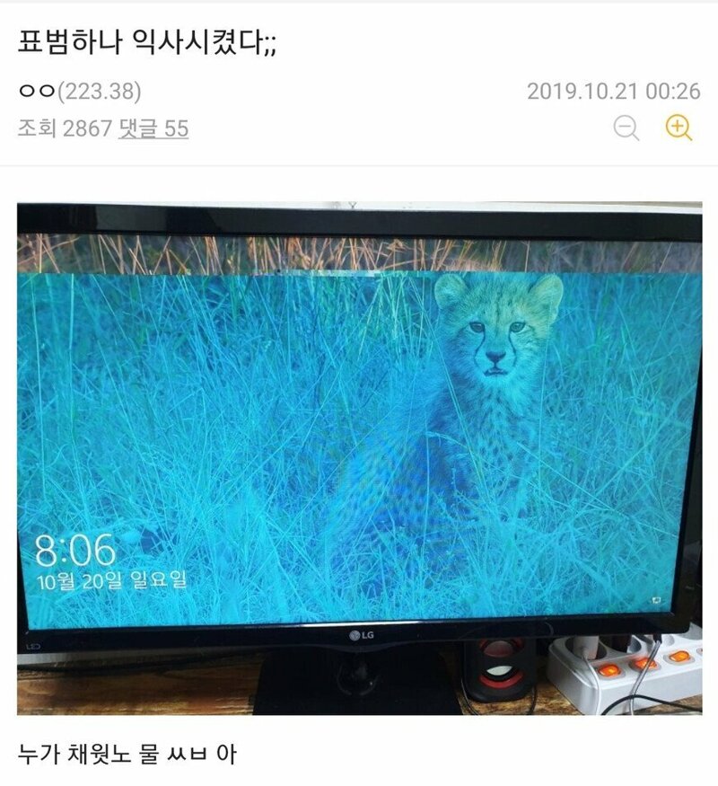 4987dace88e89a9bbb20e5cf68570c65_1657729105_2557.jpg