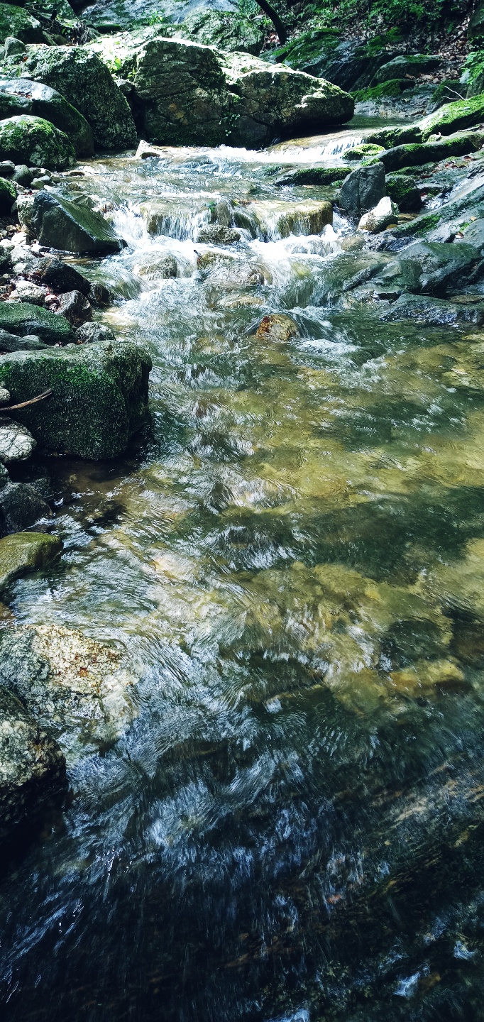 85c946e51df6af34d0969e9d7cf337f7_1658635164_2557.jpg