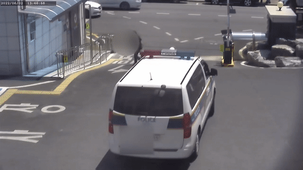 add15677d15b79a854795ef7f61039d6_1658816836_6293.gif