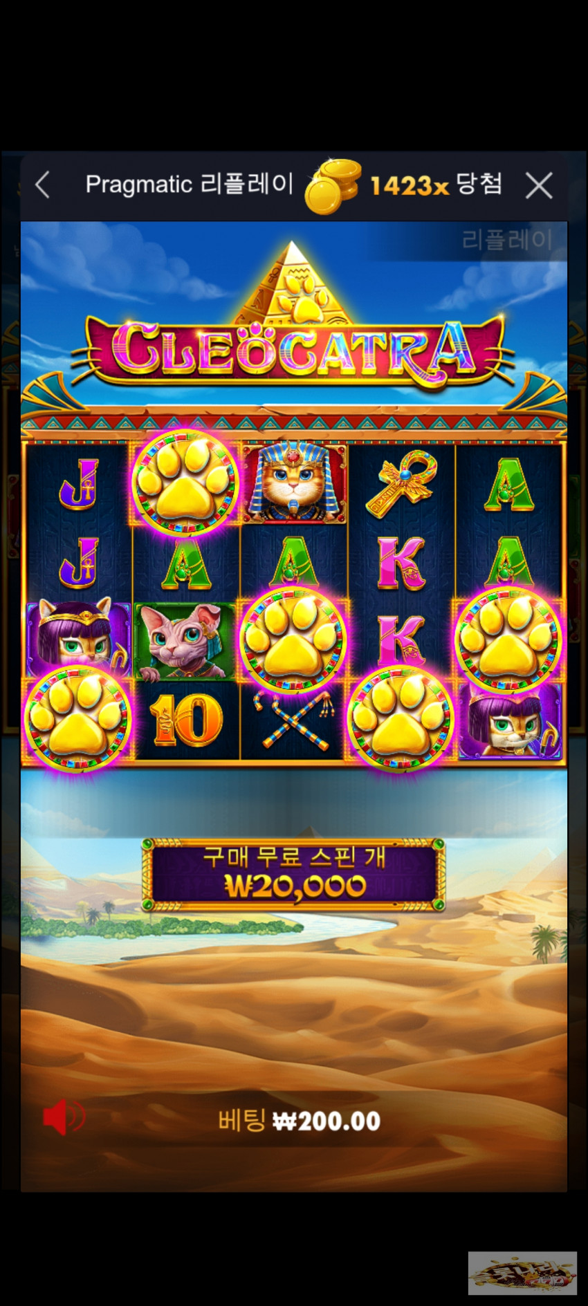 3068996939_7hKLmSrX_18fc555f54fc7360cde6bf69b2cf045685548172.jpg