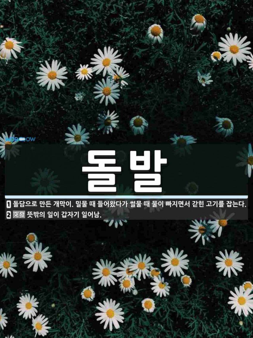 44d2ac9dce671c3743c8d97b5ecadfad_1657628031_3857.jpg