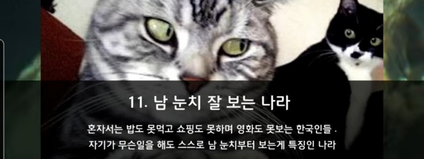 9e83335b4aeb6014f4827ea6ee224152_1656861734_277.jpg