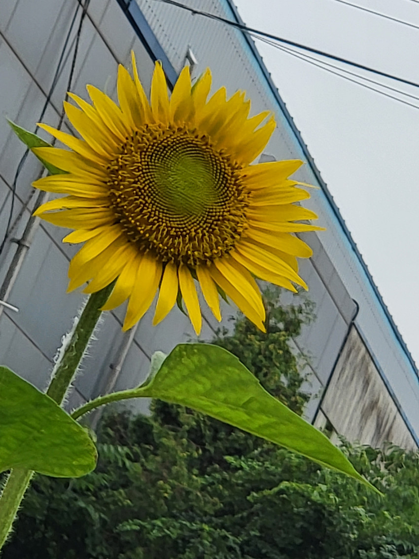 e8e7365d3637f0a4a703b2fa2a1f21ef_1657007376_0559.jpg