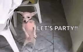 087418b5728369de1835d320f4218932_1660485570_9083.jpeg 087418b5728369de1835d320f4218932_1660485570_9083.jpeg