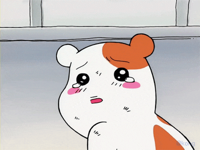 a4151ddf98d078717010d6f12e372337_1660581157_8544.gif