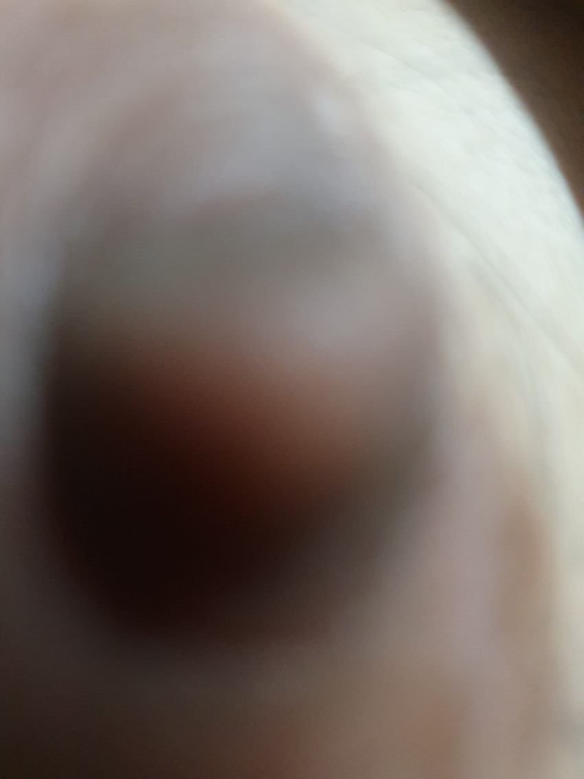 5542cc5e3c5f3742d584a366913097da_1659442205_0539.jpg