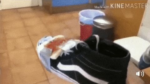 2d34f30dcb0ad4b3be9705634c0f63c9_1662183344_6237.gif