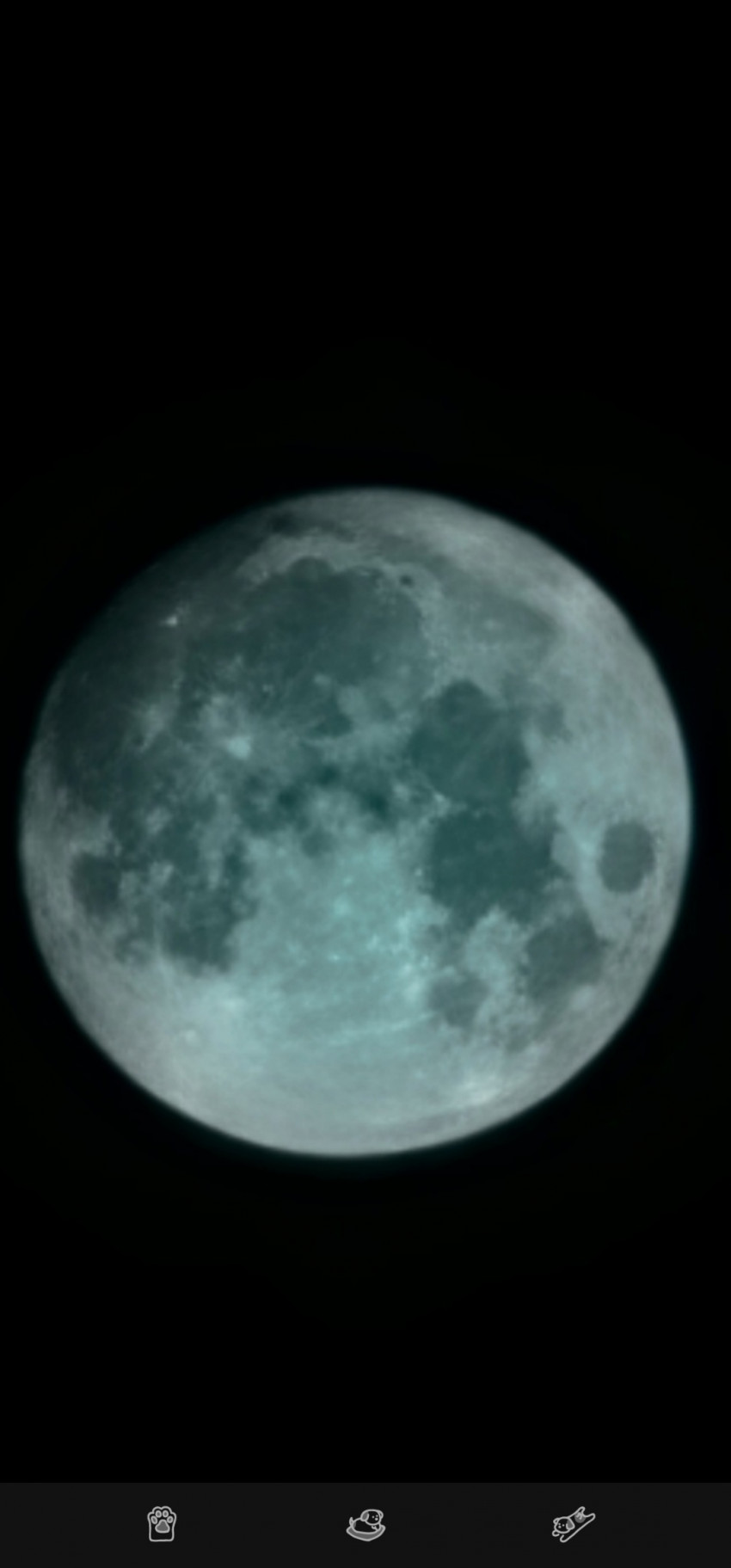 5b89149c34005f527e471865898e50ae_1662734191_3598.jpg