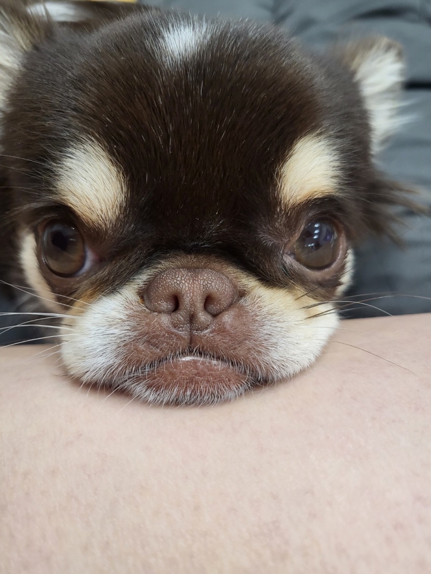 2d5c120ebb05c53da1e9ae9b73f3ee9d_1669476070_1672.jpeg