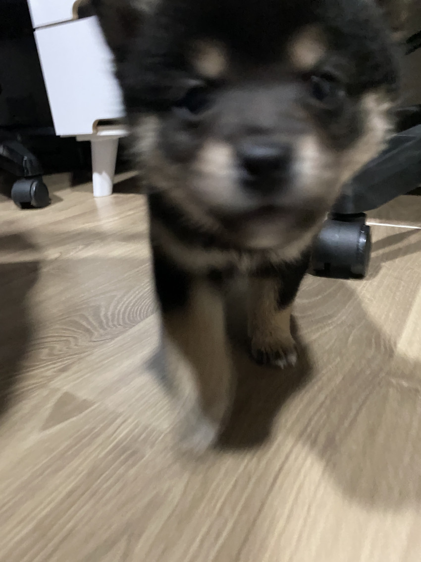 3c318a171406b3e1798042014a02936c_1669104912_2854.jpeg