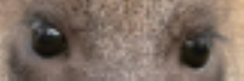 3504549f1f90433de7dd753e48b6deab_1670951343_9921.png 3504549f1f90433de7dd753e48b6deab_1670951343_9921.png