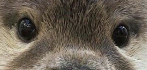 46e4f01157e28ed71020a62d400911fc_1671130895_7532.png 46e4f01157e28ed71020a62d400911fc_1671130895_7532.png