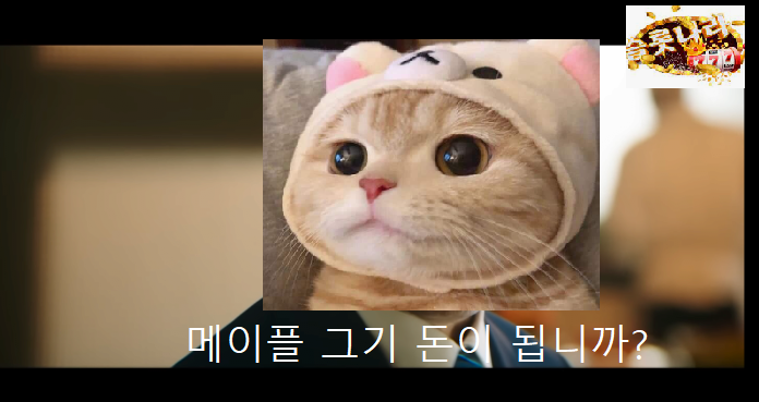 6af9d0cc1d759cf5194ea12c2c0ee0cf_1671536744_8017.png