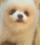 7de46d030cc505c0e37a122993fd8223_1669891266_7209.png