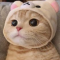 a4f16bfba0ffc4a1f76c30ab12bcd7ec_1671032005_8226.gif
