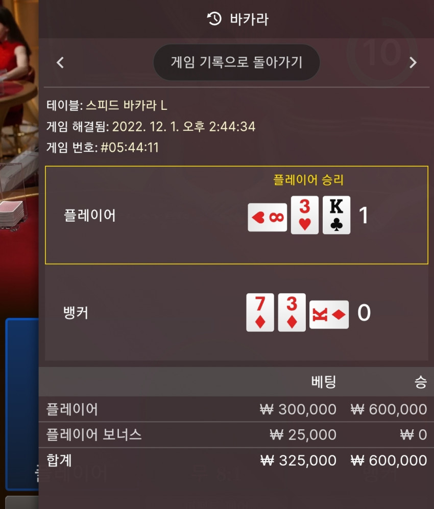 ace96f2c2ce43a7defbacfbd0517b315_1669875998_8523.jpg