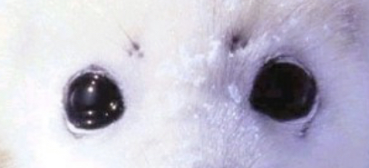 0b84708f1e2d5795c5c310df2eca682d_1673676172_7935.png