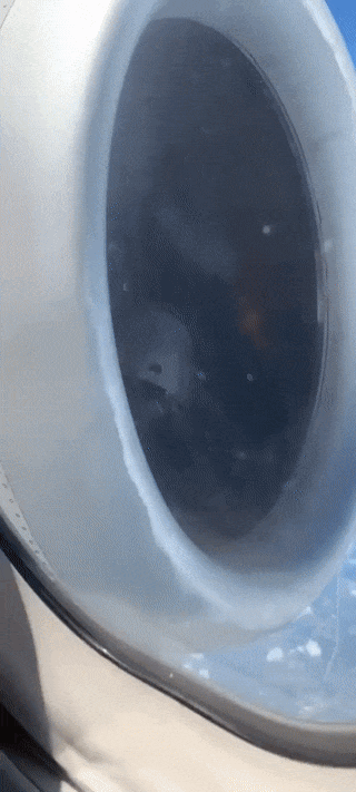 2a28675bbf9ae8a1dfc057e7840f884e_1673433078_3267.gif