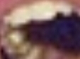 dec84425420866fcd3fbb238066b0a94_1673759785_5103.jpg