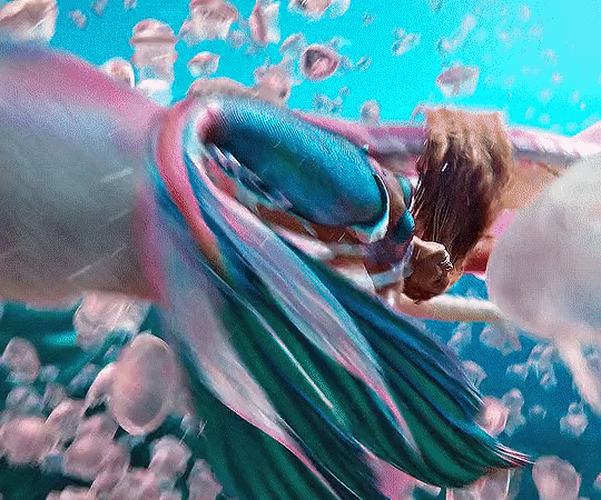 60db98b75b903330cb3513fc194e47b4_1676889946_2955.gif