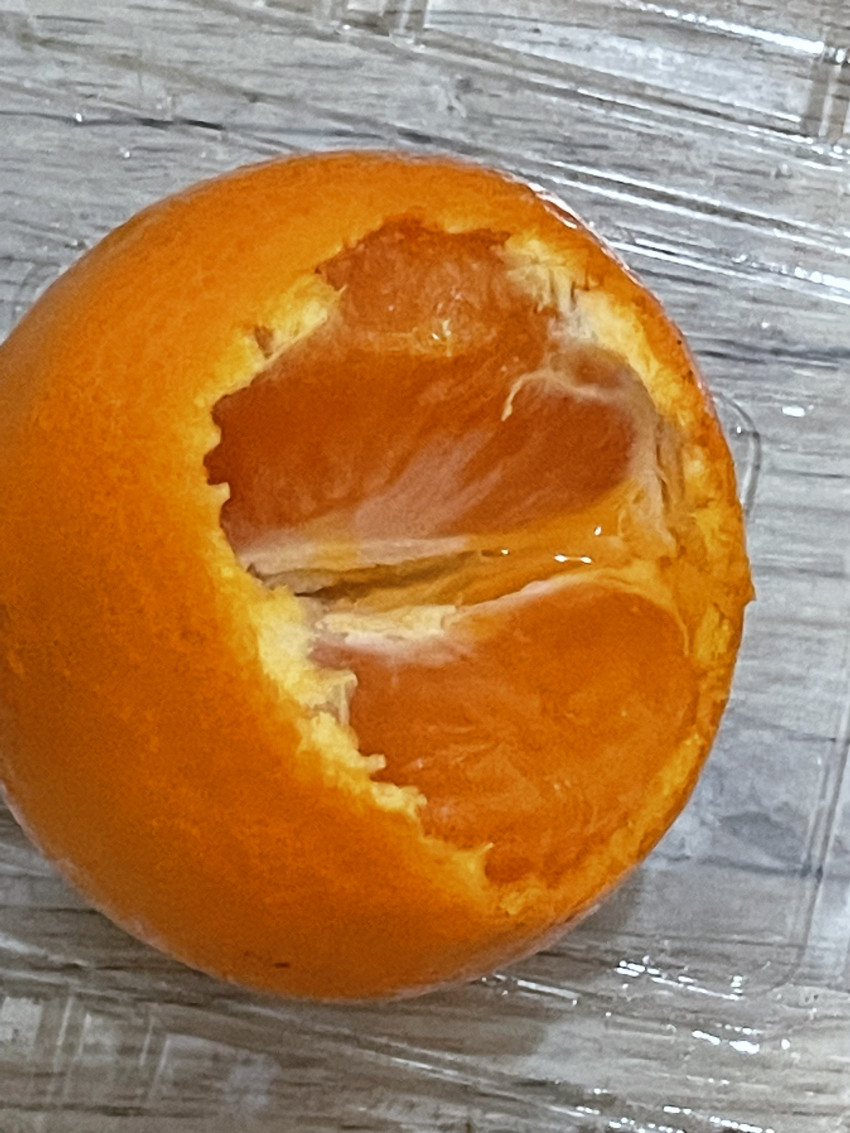14fa36d7627cea4d85d095d4b8f97142_1676385186_1991.jpeg