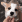 3a7d1d16e634195d599b374cd2e0ced1_1678244988_5658.gif