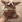 3a7d1d16e634195d599b374cd2e0ced1_1678244993_6282.gif