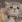 3a7d1d16e634195d599b374cd2e0ced1_1678246250_2879.gif