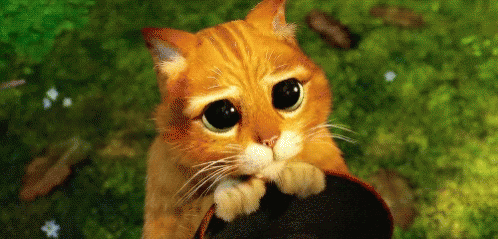 3a7d1d16e634195d599b374cd2e0ced1_1678246262_1473.gif