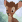 3a7d1d16e634195d599b374cd2e0ced1_1678246291_1456.gif