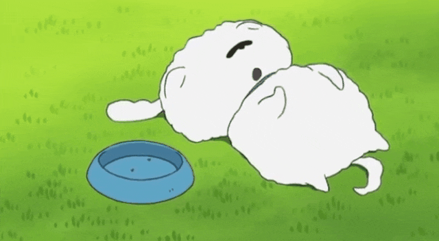 3a7d1d16e634195d599b374cd2e0ced1_1678248171_7481.gif