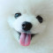 70252479ff0fc361b50dad5b4eed2299_1679162550_6023.gif