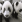 8a5578bcc6cee25213792cf033f9c706_1680100540_0613.gif