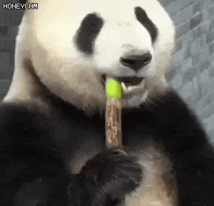 8a5578bcc6cee25213792cf033f9c706_1680100567_5515.gif