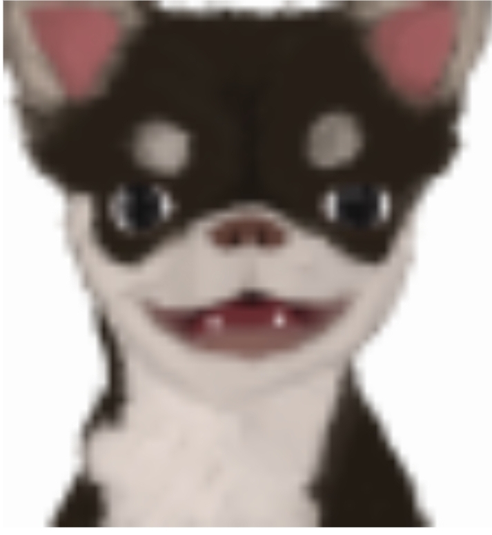 b7e4219e31e0e36a879109b9cf2b1e5e_1679554156_2868.jpg